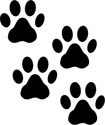 Feet logo